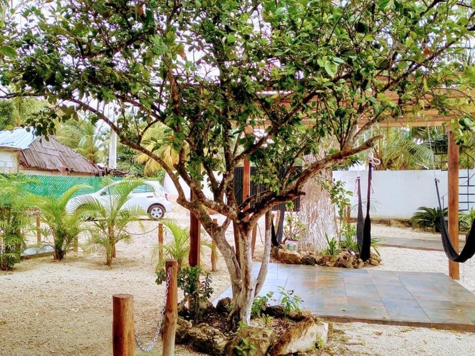 Cedro Rojo Bacalar Exterior foto